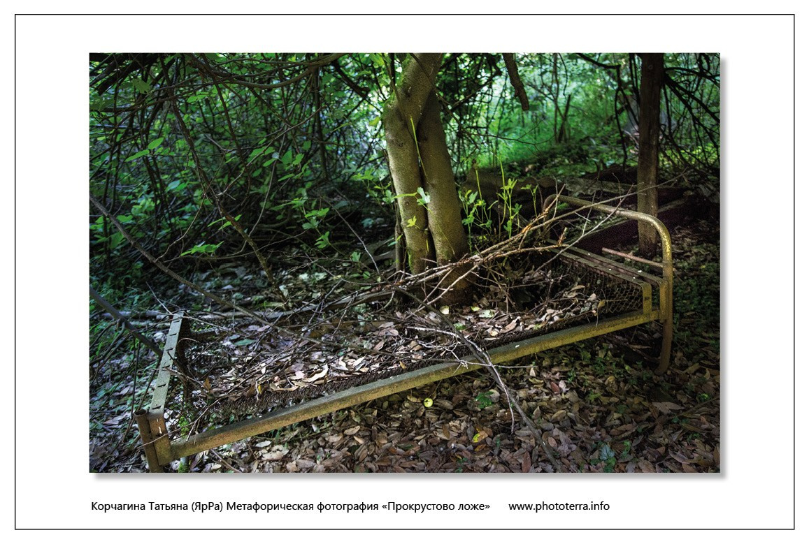 На развилке. Татьяна Корчагина. Фотограф, художник. Обучение фотографии