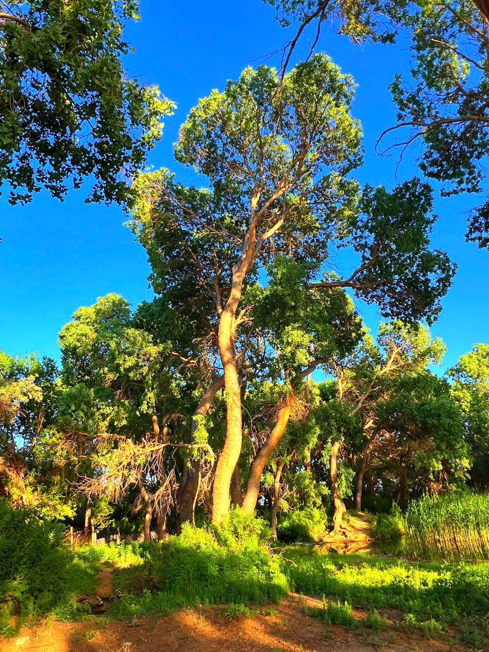 Национальный парк Алтын Эмель рядом с Алматы, Казахстан. Где находится, как доехать, фото и видео зимой и летом
