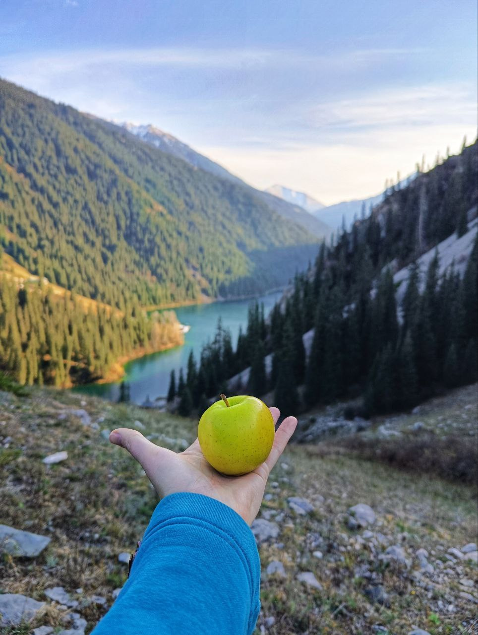Человек держит на вытянутой руке зелёное яблоко на фоне живописного горного пейзажа. На заднем плане виднеется бирюзовое озеро Каинды в Алматинской области, окружённое густым хвойным лесом и зелёными склонами. Голубое небо с лёгкими облаками добавляет глубину сцене, создавая ощущение спокойствия и единения с природой.