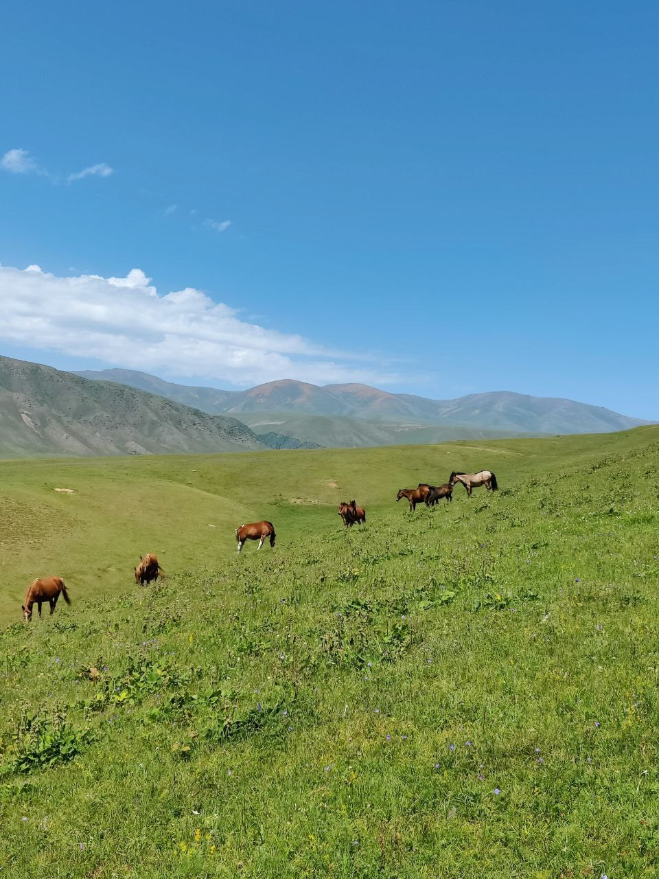 Экскурсия и тур на плато Ассы и водопад Медвежий из Алматы
