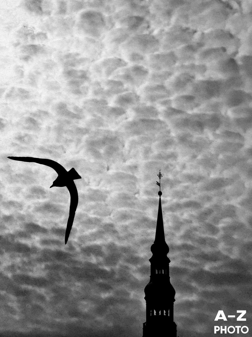 #ФОТОНЕДЕЛИ 06.04.2026. Женский семейный фотограф Тула Москва Захарова Анна