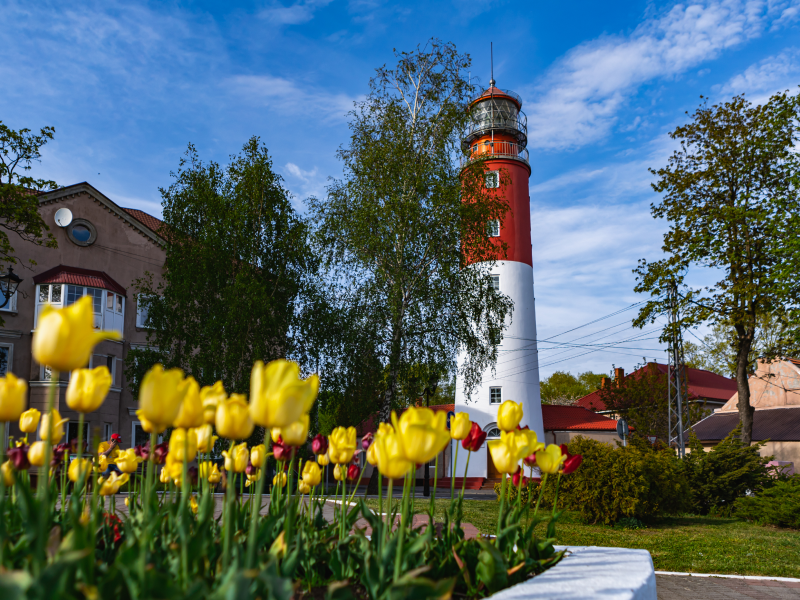 Фотосток. AI-контент (генерации ИИ-фото и видео), стоковые фотографии Калининградской области