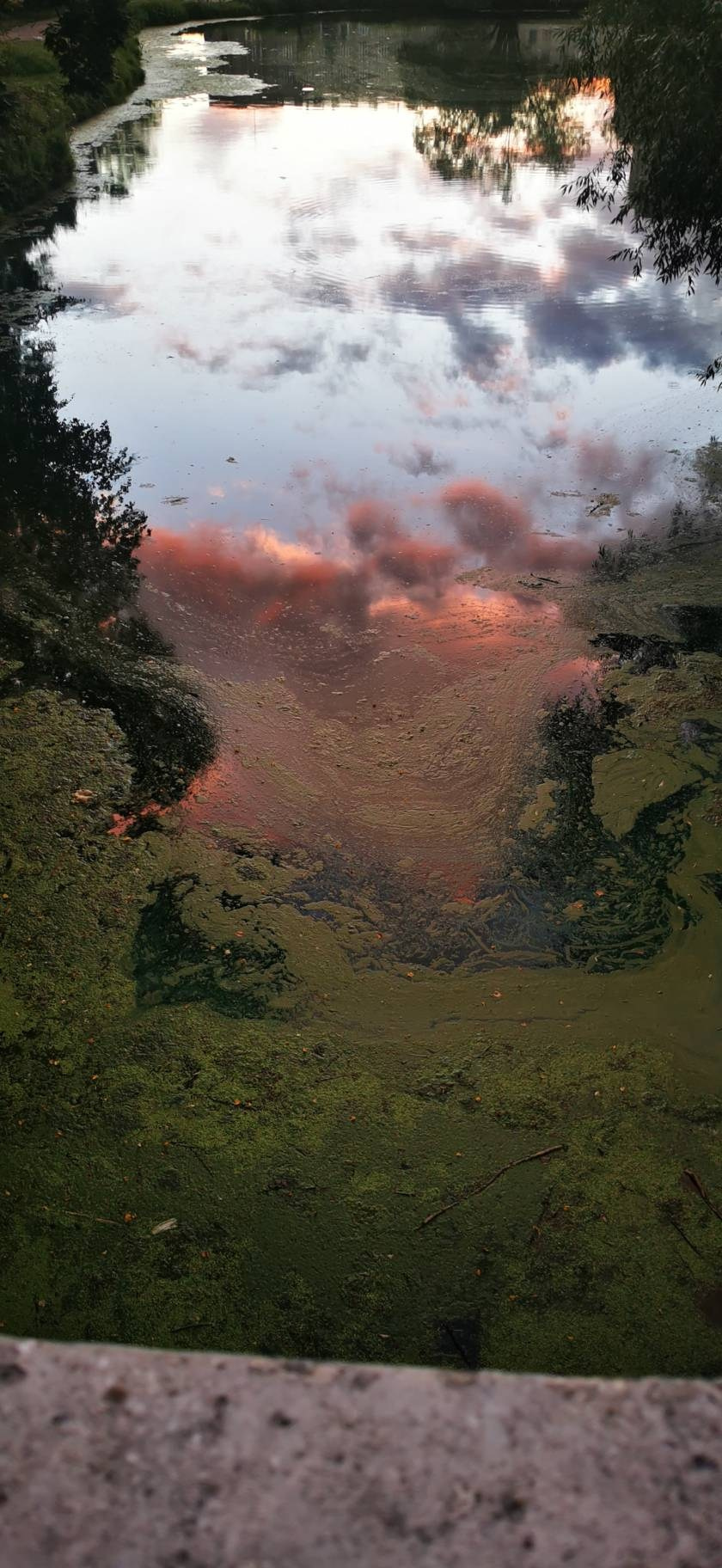 Лефортовский парк — по следам Петра Первого. Купить картину на холсте для интерьера|художник | дизайнер | архитектор Сергей Ратчин в Москве