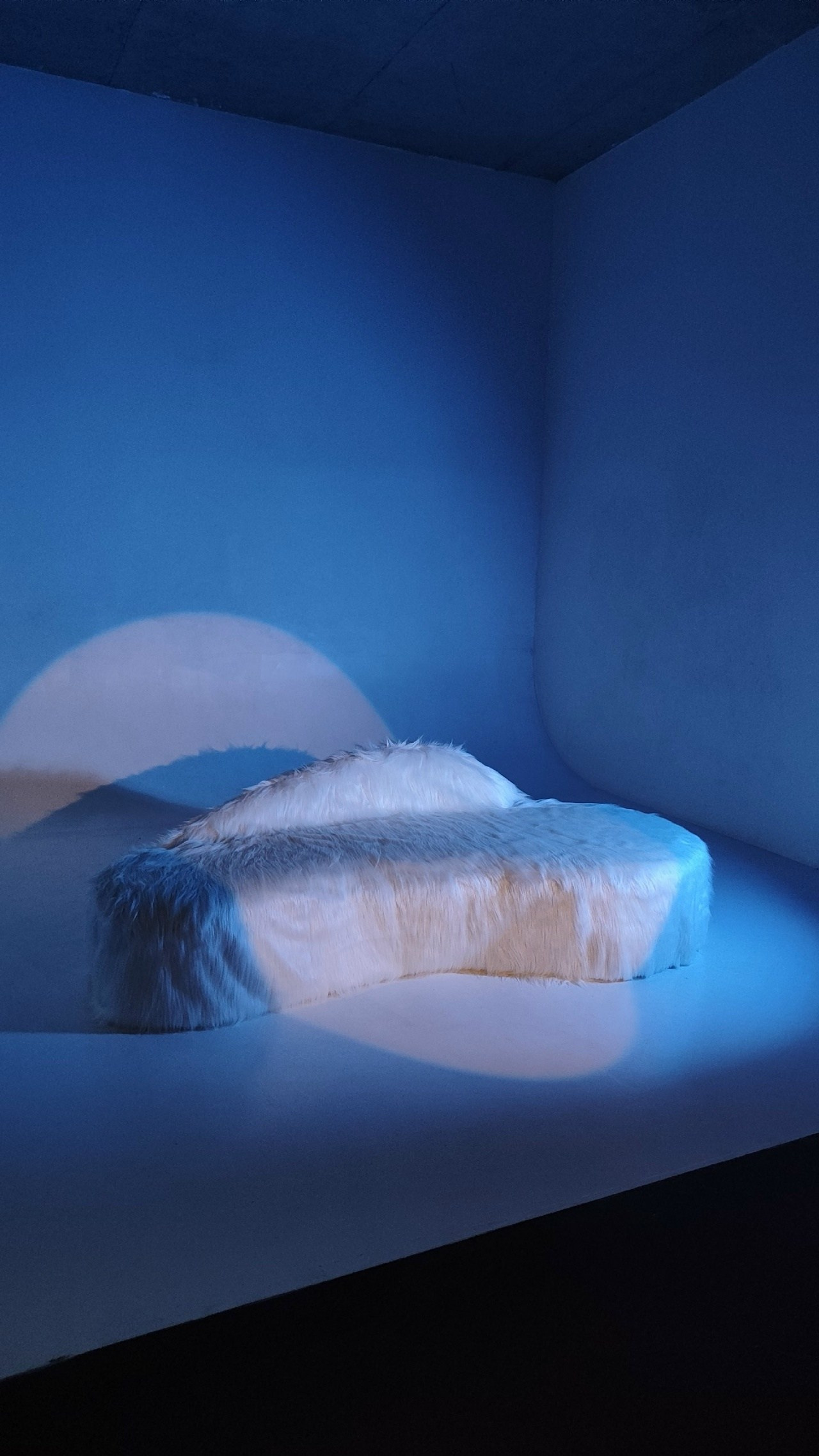 Новогодние залы. Семейный и женский фотограф в Воронеже Ольга Попова