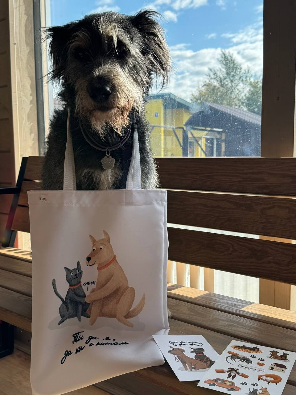 Иллюстратор | Аня Лёзина. Фотограф Нижний Новгород Аня Лёзина