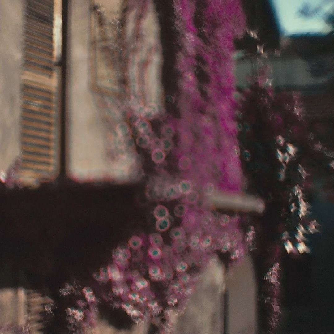 MONTENEGRO. Eduard Kopysov — International visual artist