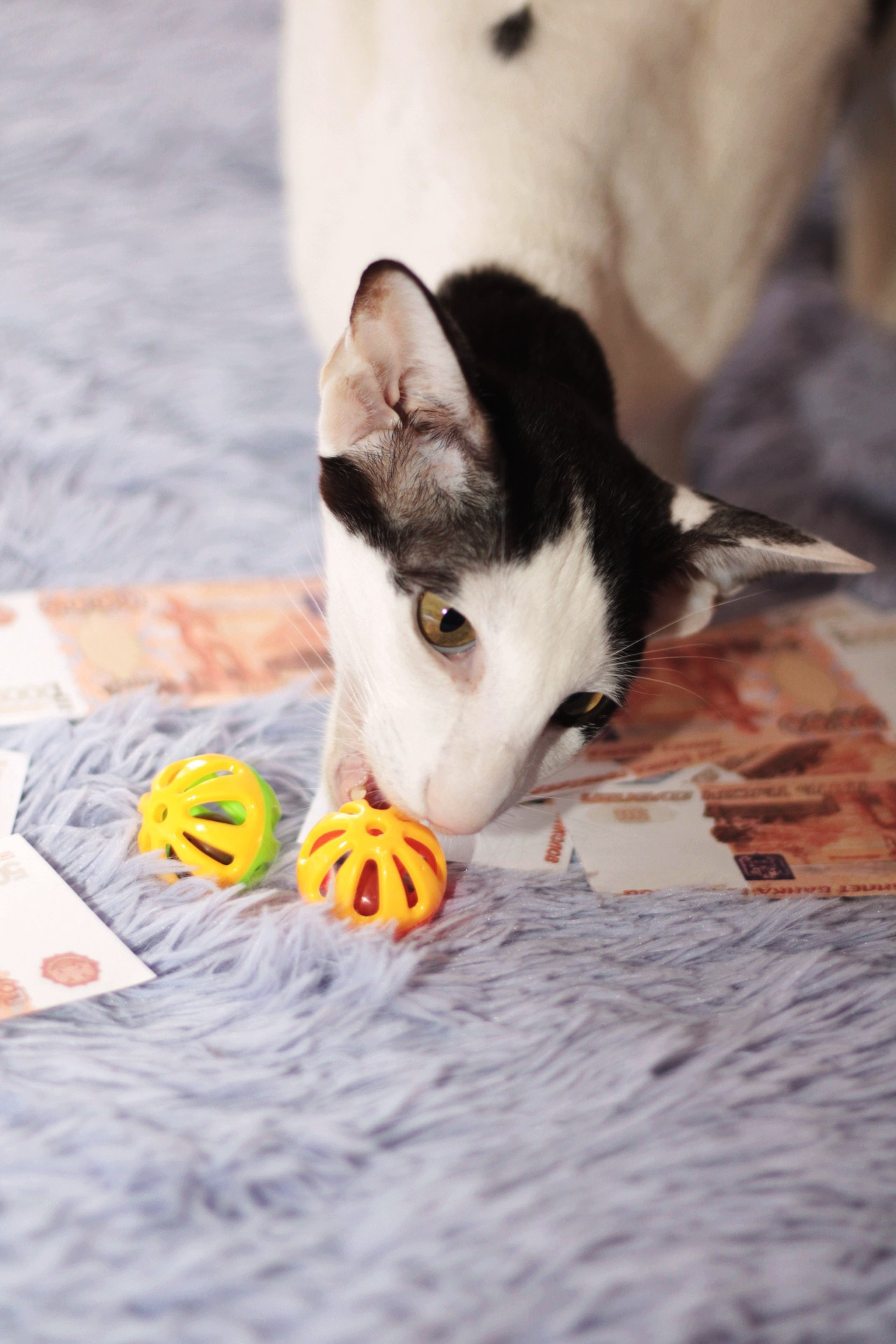 Катя Попова|ЛайфСтайл фотограф