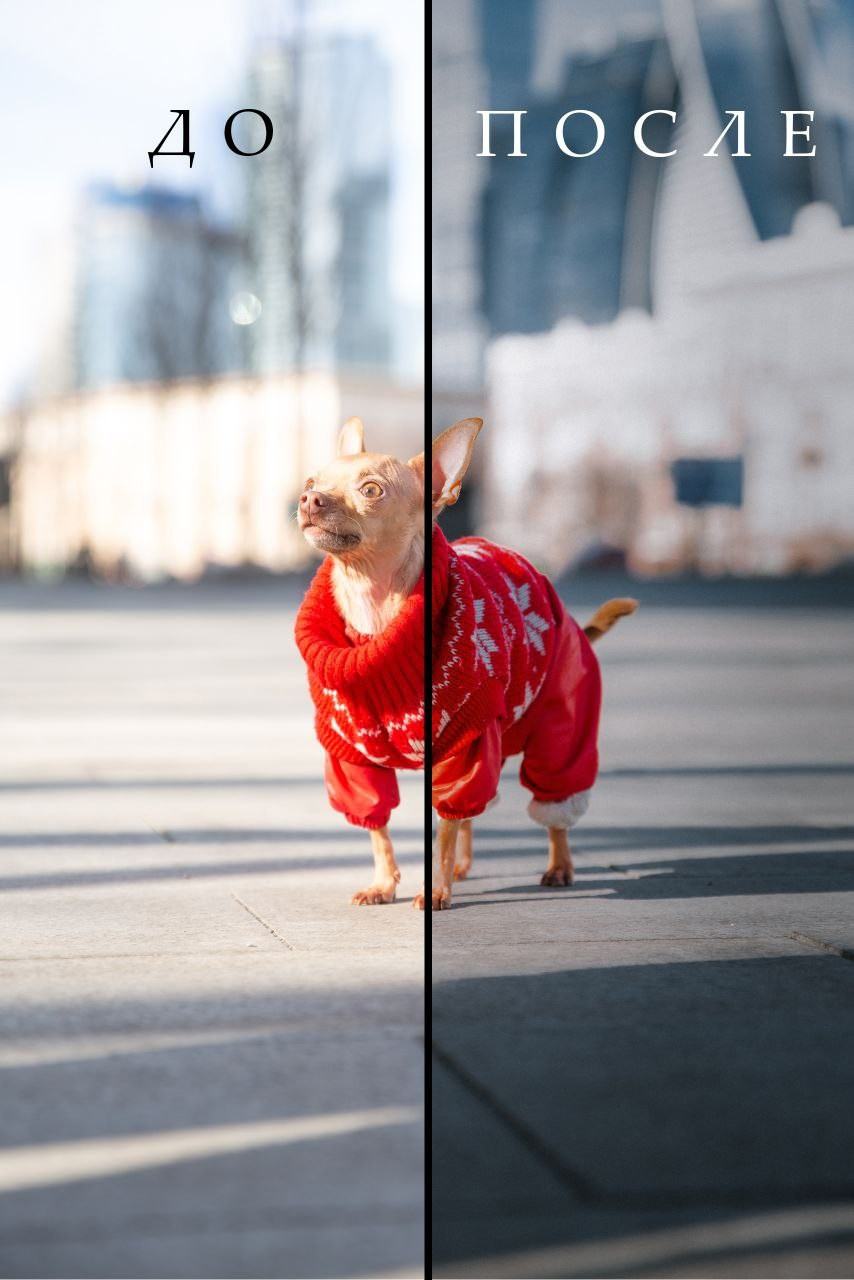 Пресеты «Мега пак». Фотограф Сергей Антонов Москва