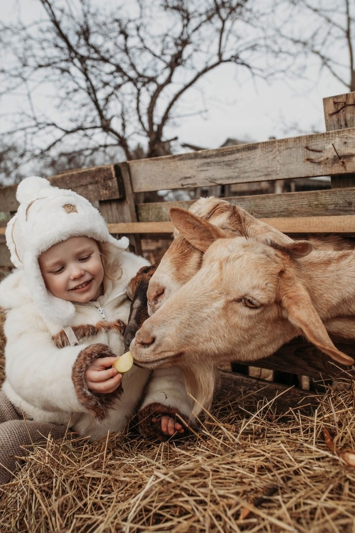 Портфолио и общая информация. Ваш семейный фотограф
