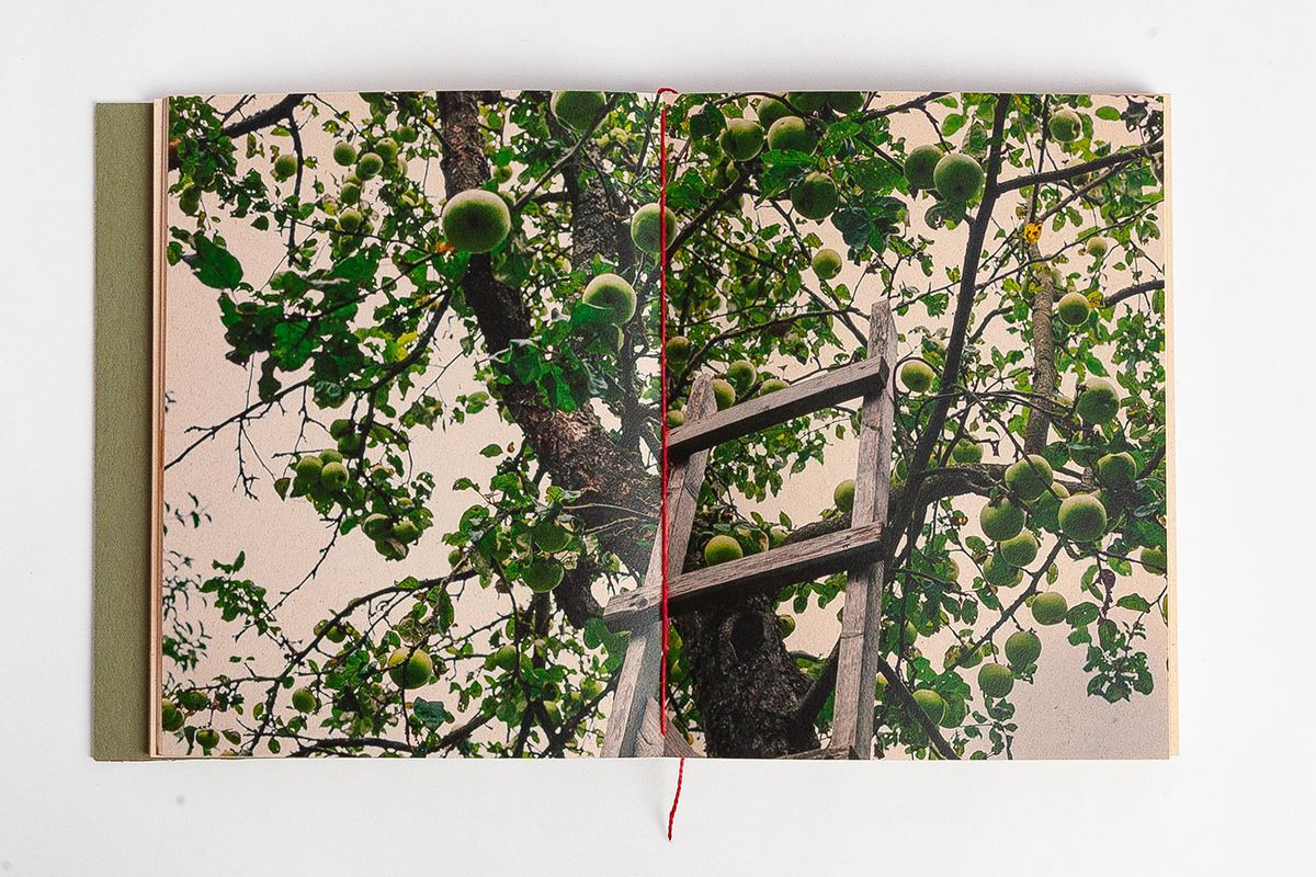 Фотокнига «Брод» визуальной художницы Ольги Михальчук. Ольга Михальчук, художница и фотограф