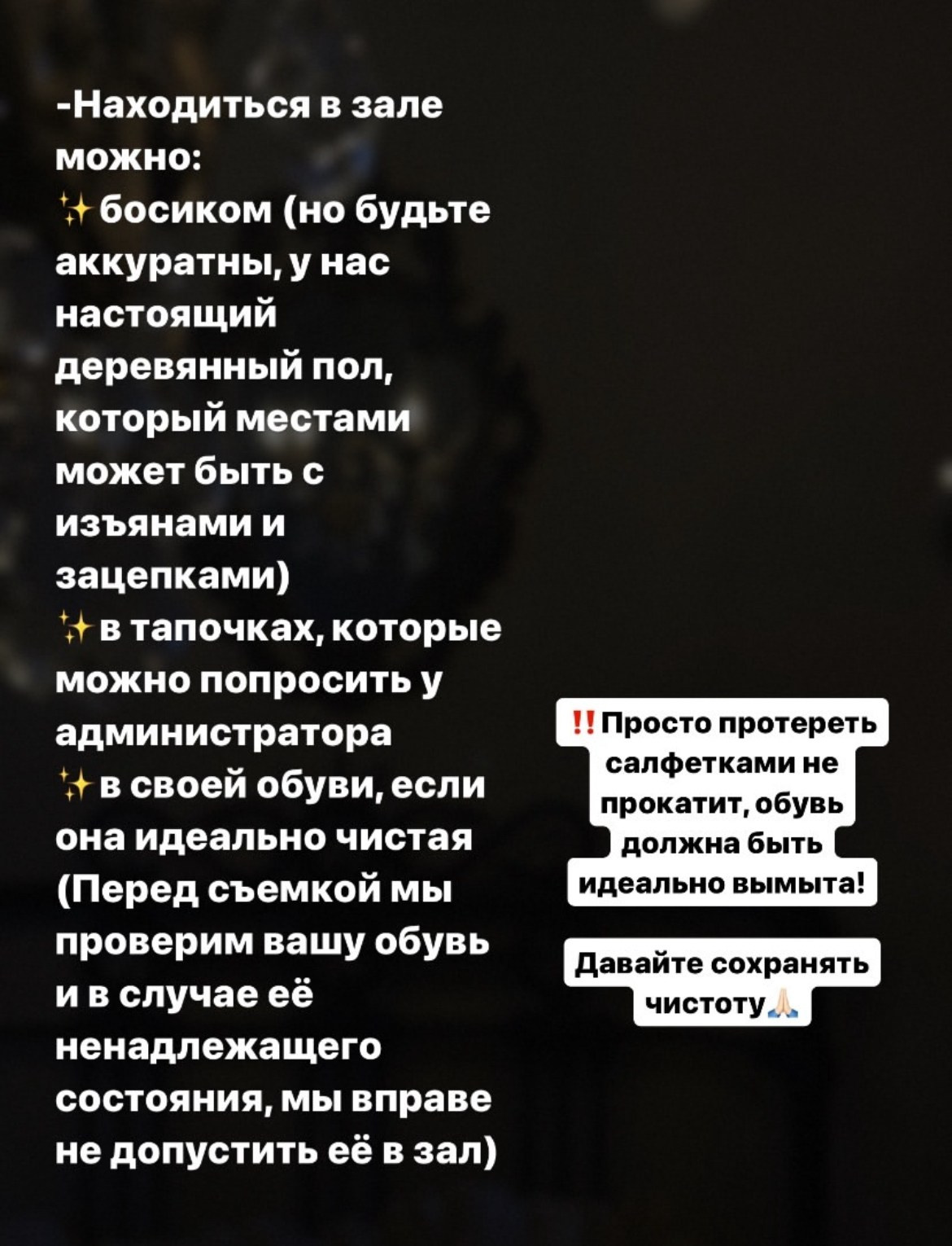 ЛЕС (скв. Карла Маркса). Семейный и детский фотограф |Брянск| Анастасия Перепелкина