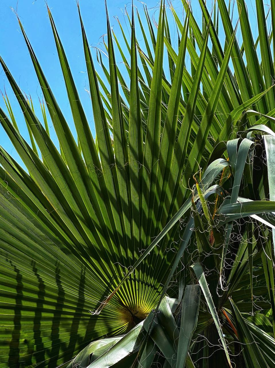 МАРАФОН ФОКУС НА ПРЕКРАСНОМ. Фотограф Анастасия Дмитриева