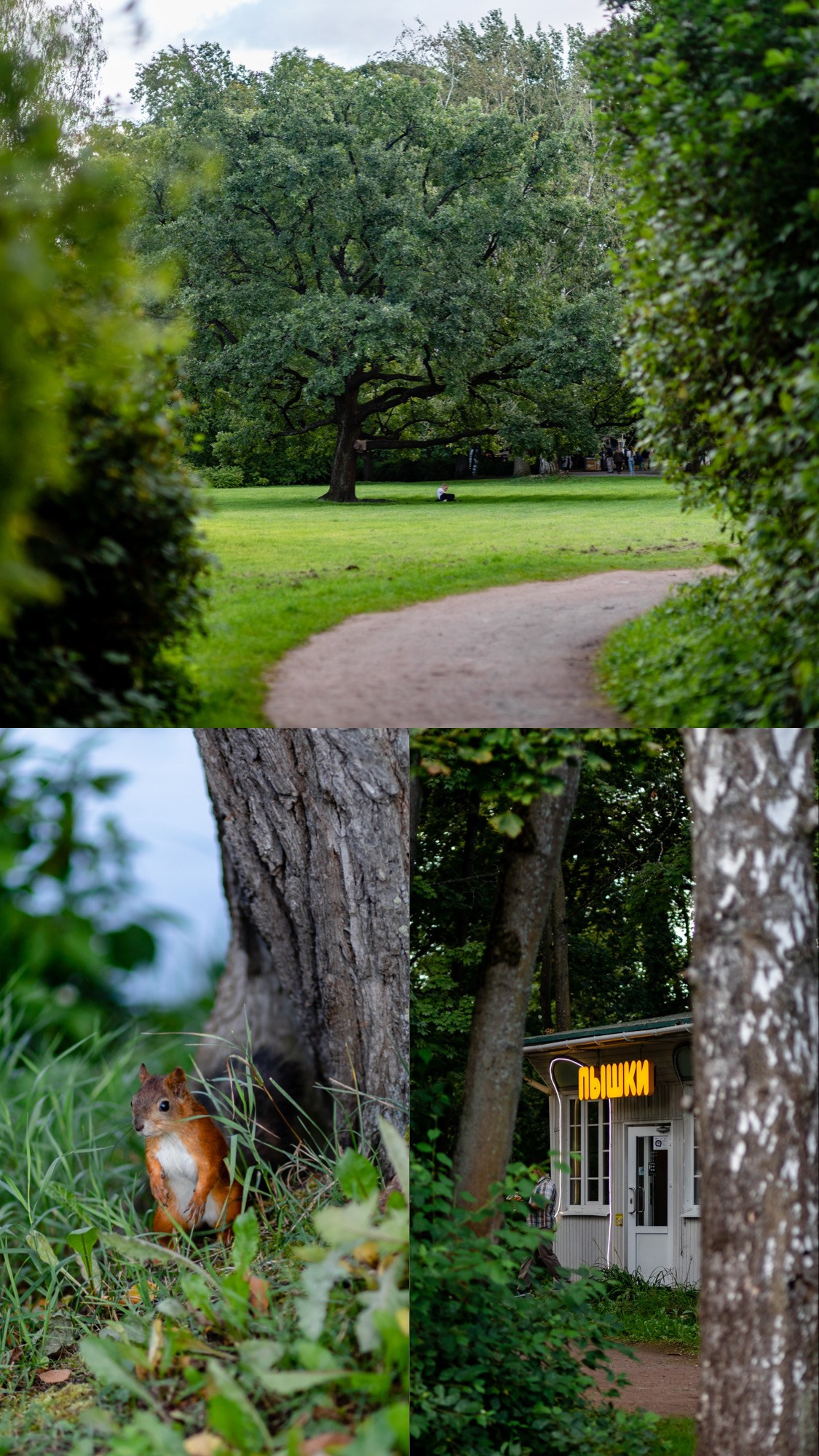 Прогулки по Санкт-Петербургу. Павел Шарапов | Фотограф | Москва
