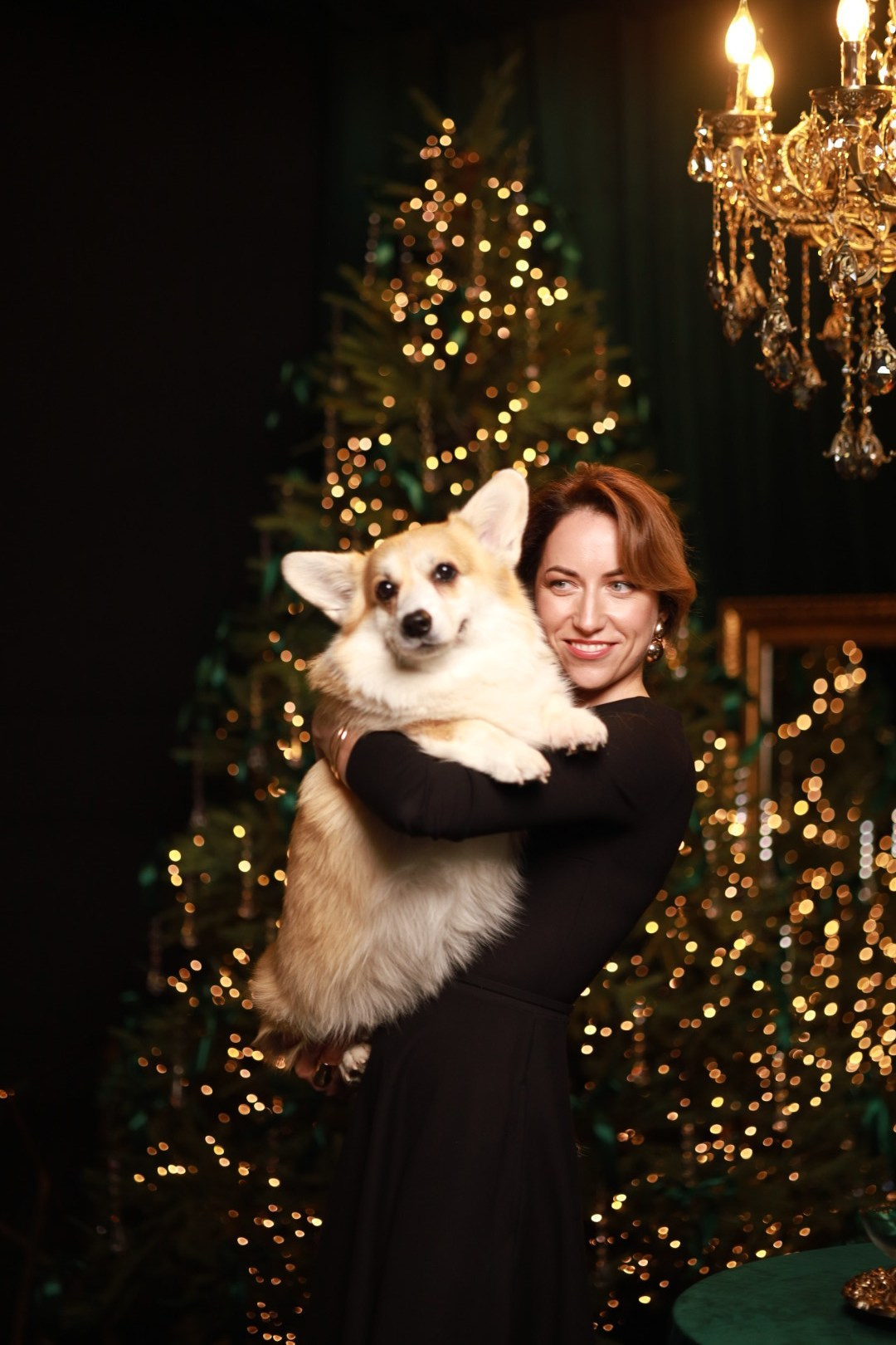 🎄 НОВОГОДНИЕ ФОТОСЕССИИ 2024–2025. Фотограф в Минске Анна Кучинская