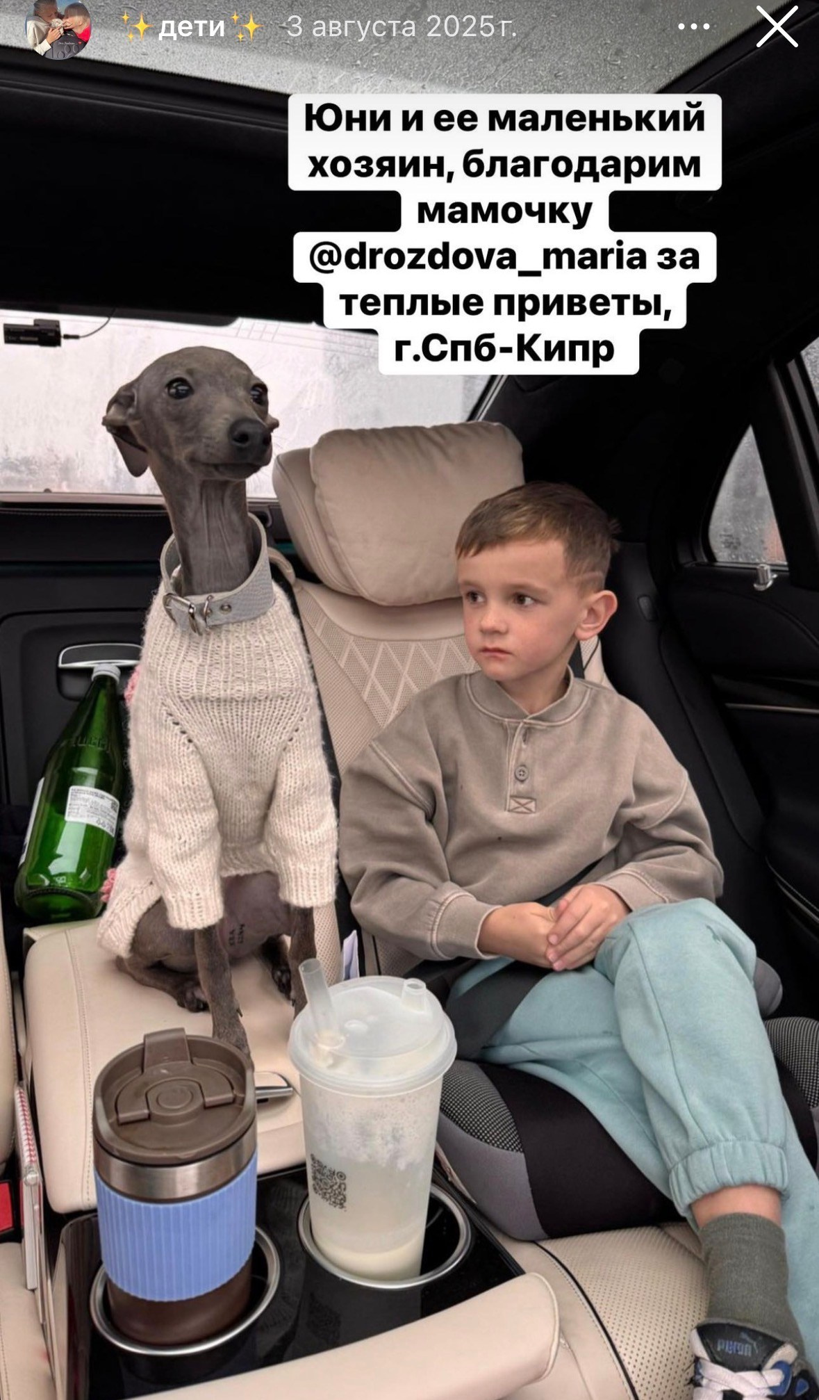 Левретка и ребенок: нежная дружба. Профессиональный питомник левреток РКФ/FCI ASTI SAPPHIRE 💎 Сочи|Санкт-Петербург