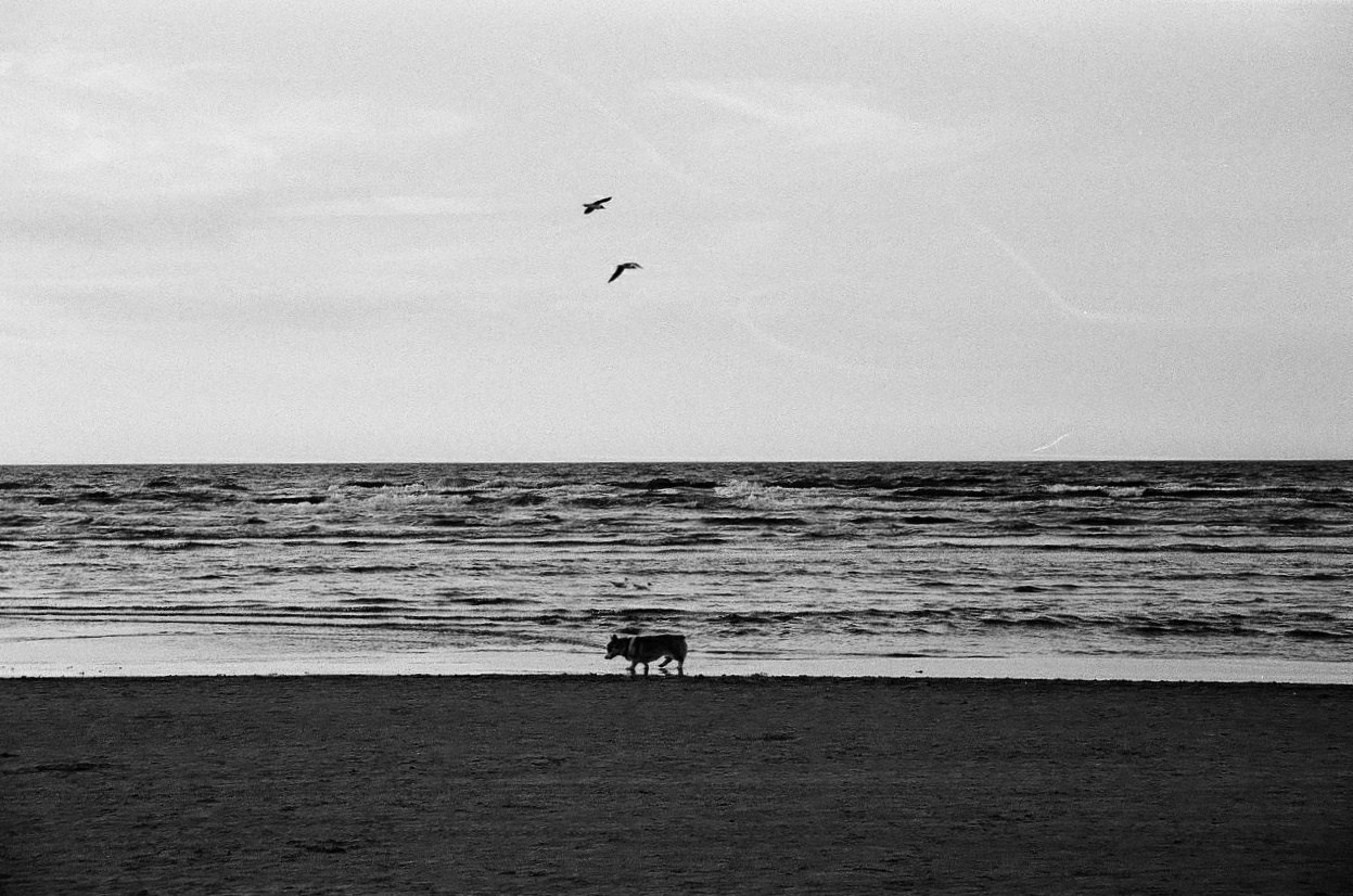 Автор: Любовь