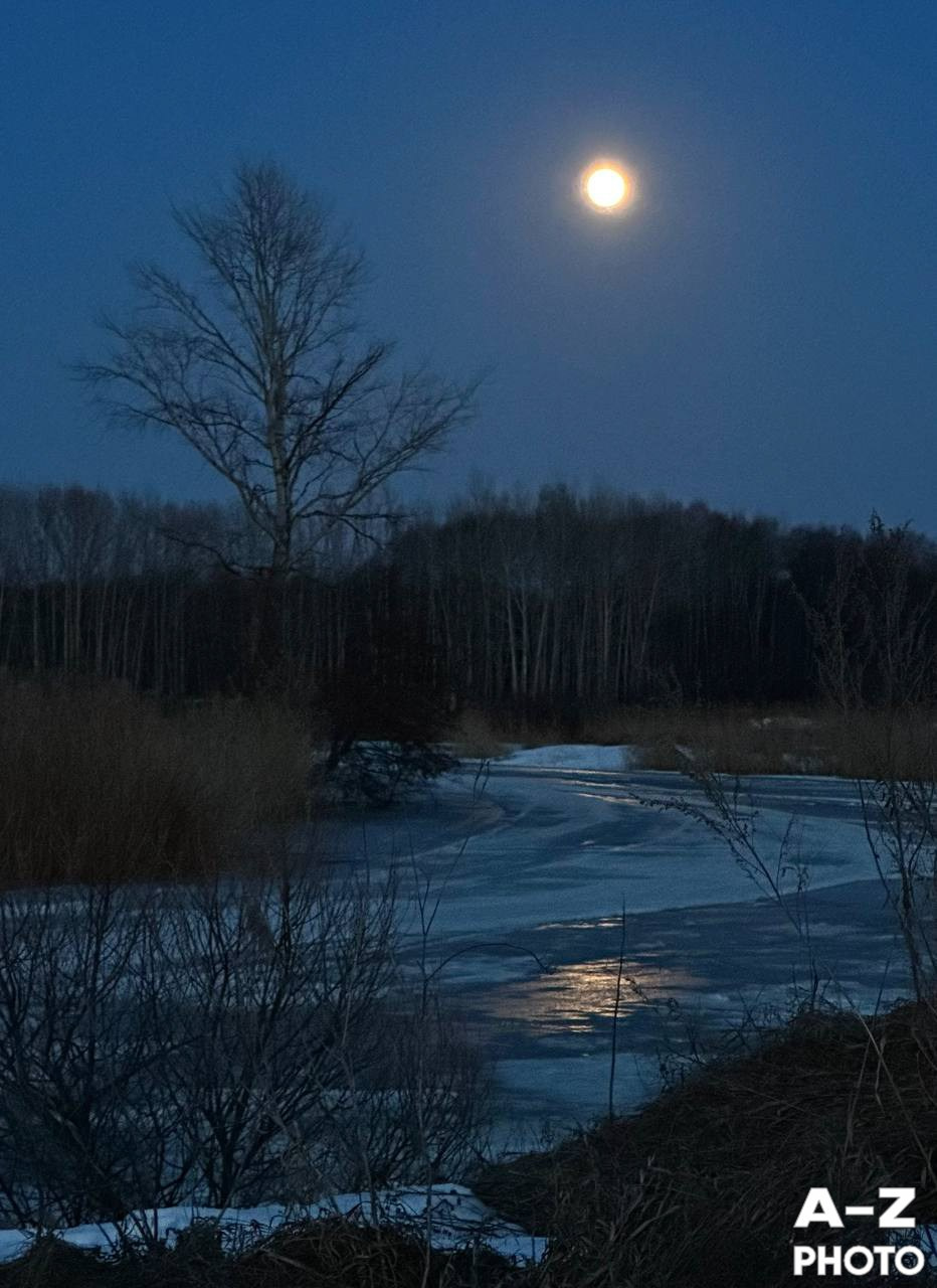 #ФОТОНЕДЕЛИ 06.04.2026. Женский семейный фотограф Тула Москва Захарова Анна