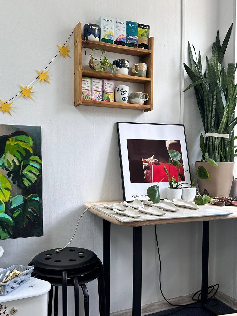 Красная в Новосибирске 8.08.25 — 26.10.25. Фотострелка