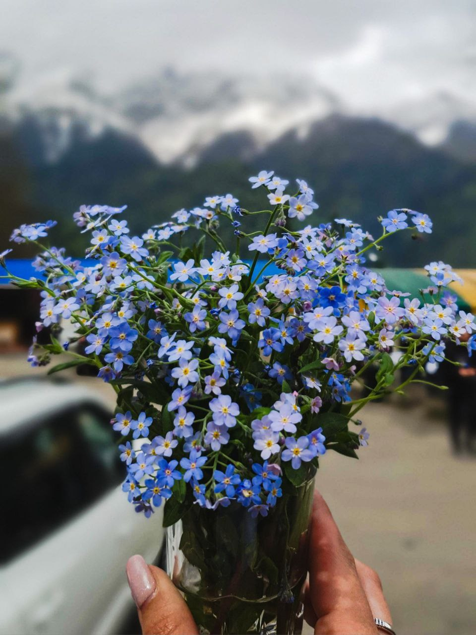 ФотоТуры. Фотограф Красная поляна|Сочи|Сириус