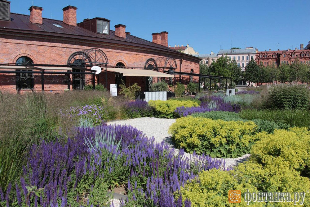 Локации Санкт-Петербург. Фотограф Анна Путилина