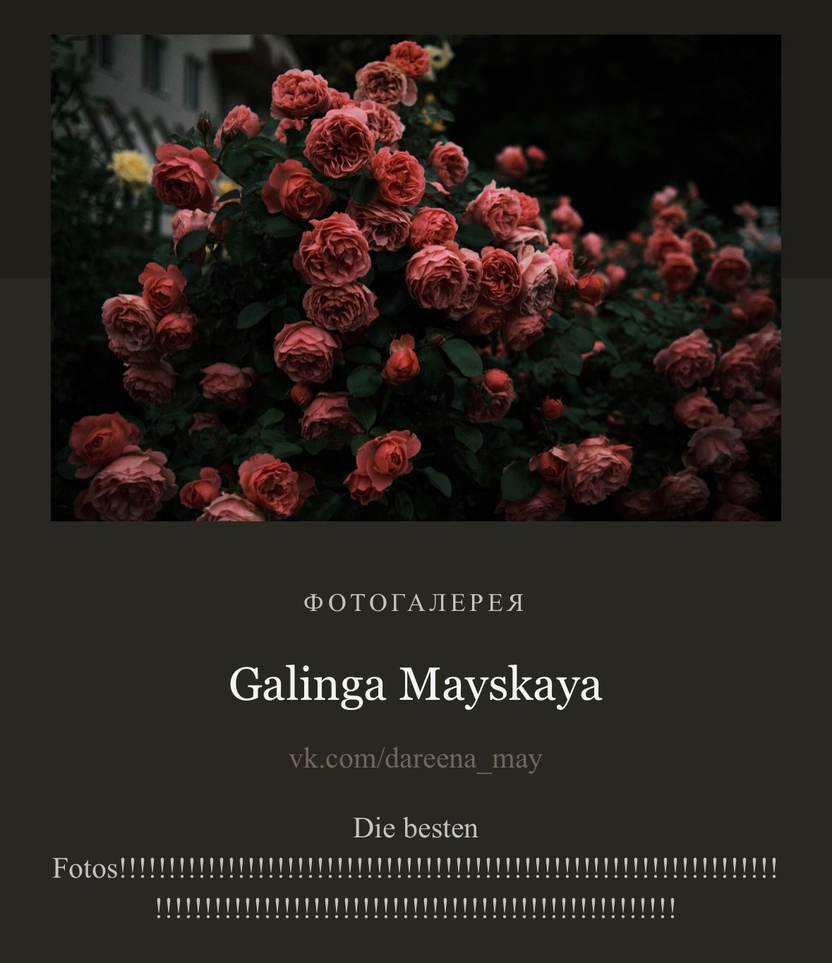 Евгений Ким