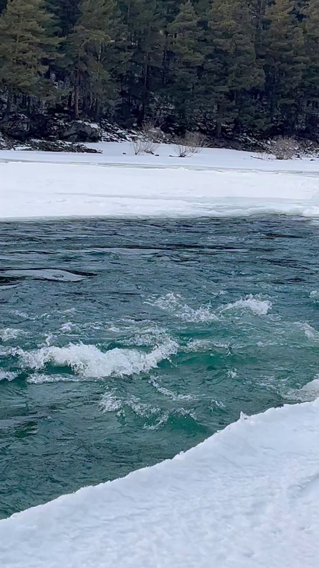 Аренда гостевого дома в горах. Семейный фотограф в Барнаул/Горный Алтай, Аренда дома в горах
