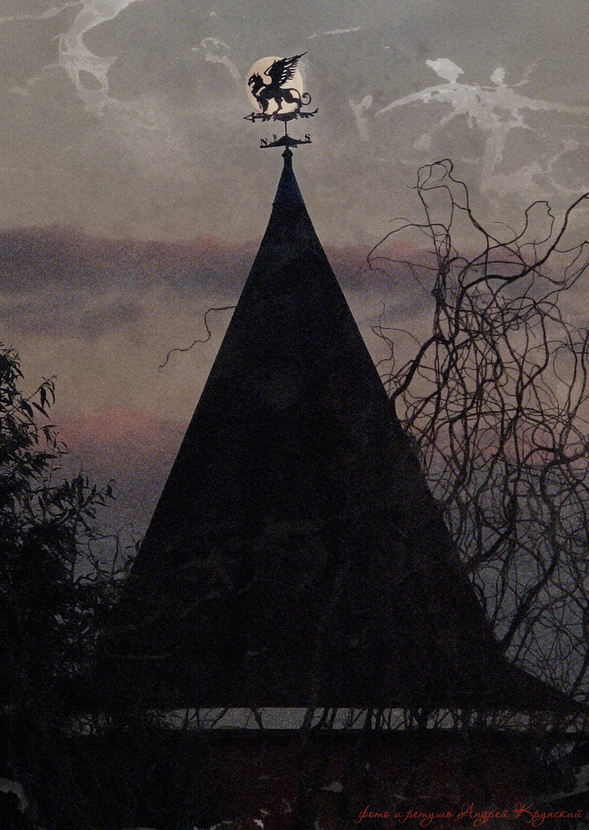 Художественная обработка изображений. Фотограф в Туле Крупский АнДРей. Фотостудия «КАДР71» в Туле