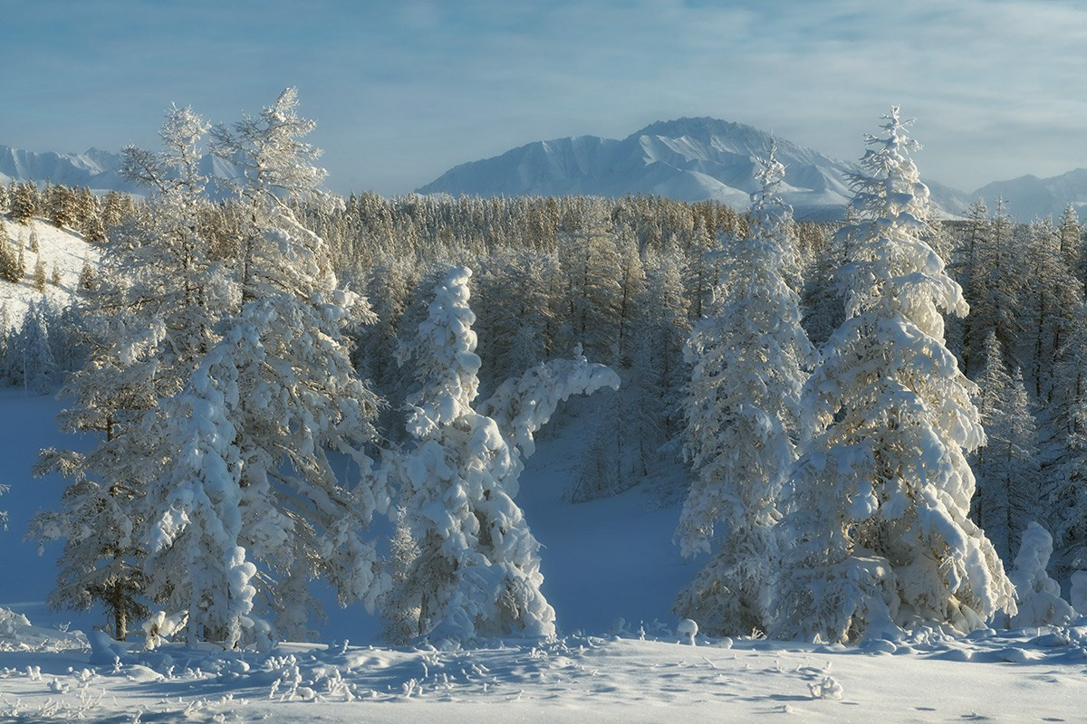 Фототур по заявкам в горы Черского зимой