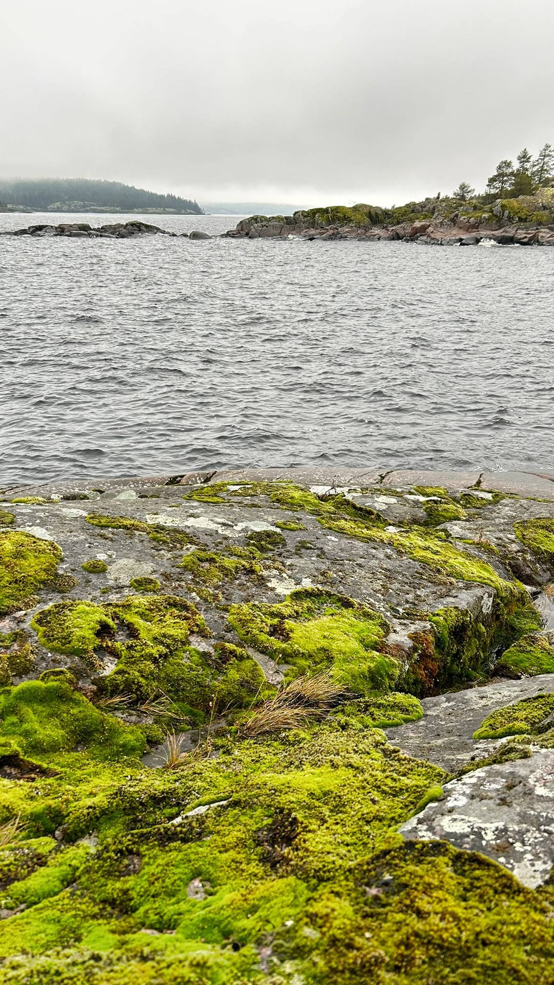 КАРЕЛЬСКАЯ ПЕРЕЗАГРУЗКА. INNERBLOOM TRAVEL-путешествия для авантюристов, мечтателей и настоящих гурманов по России и миру