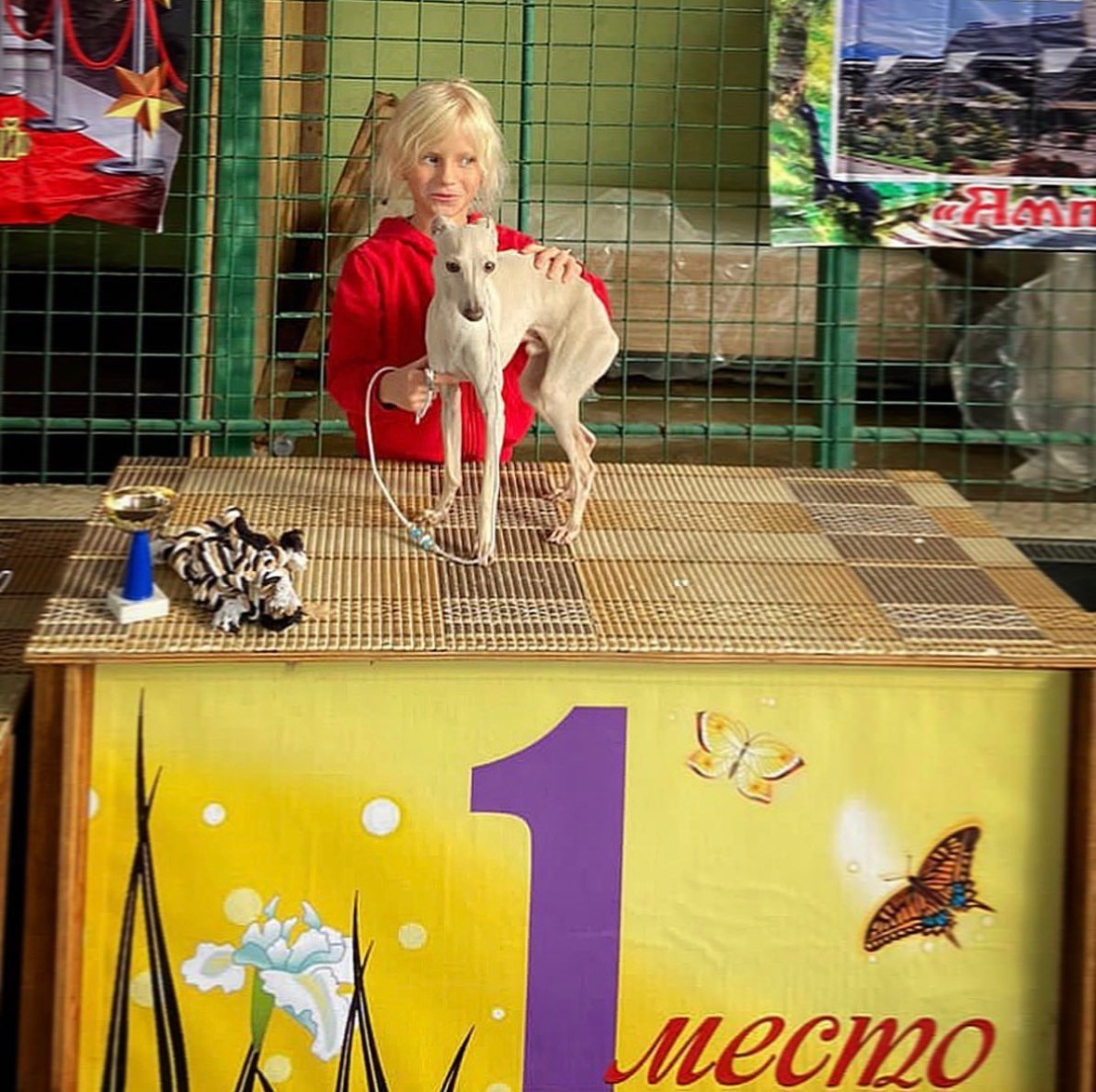 Левретка и ребенок: нежная дружба. Профессиональный питомник левреток РКФ/FCI ASTI SAPPHIRE 💎 Сочи|Санкт-Петербург