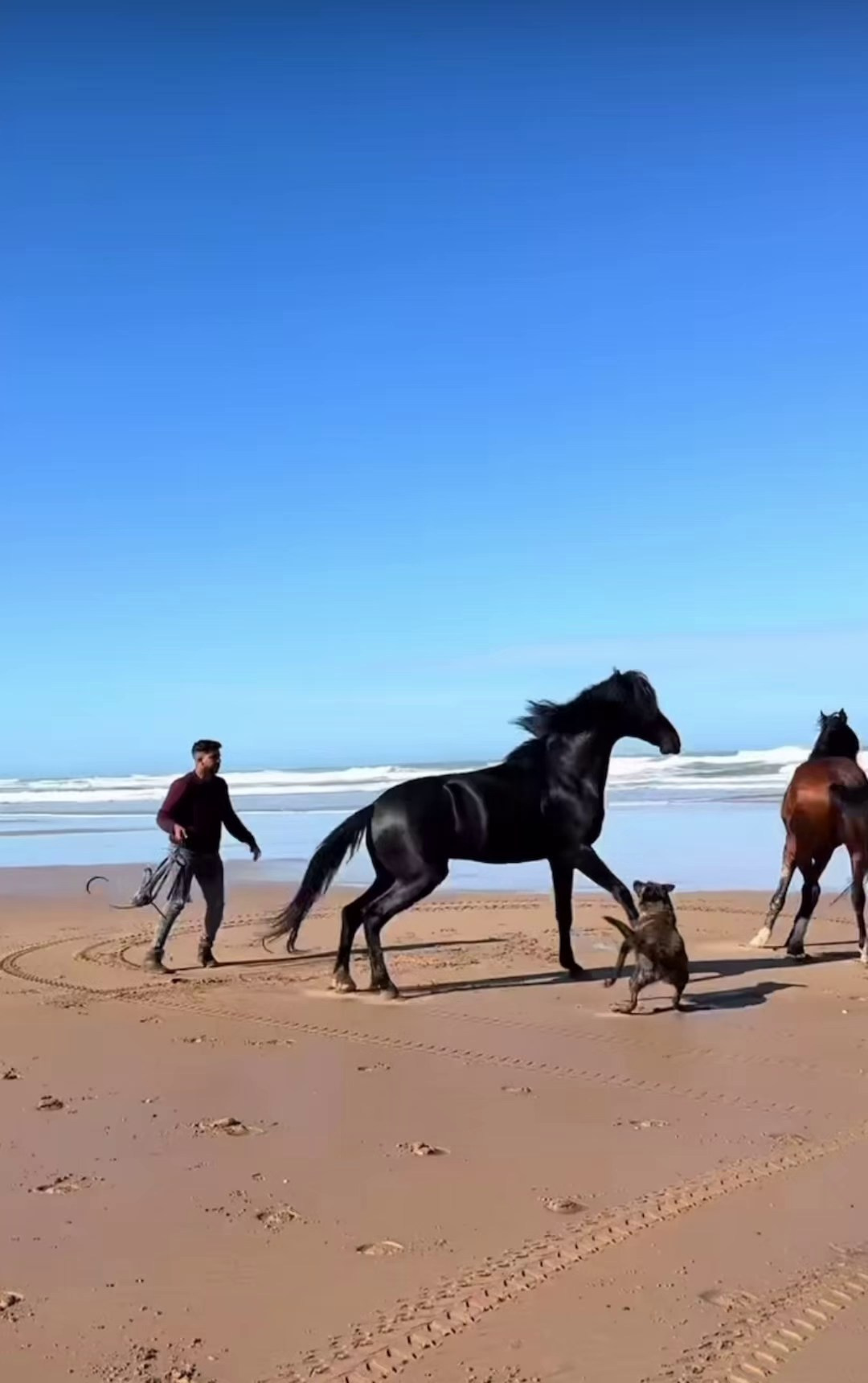 LEA. Energy master в Санкт-Петербурге Александра Цешковская