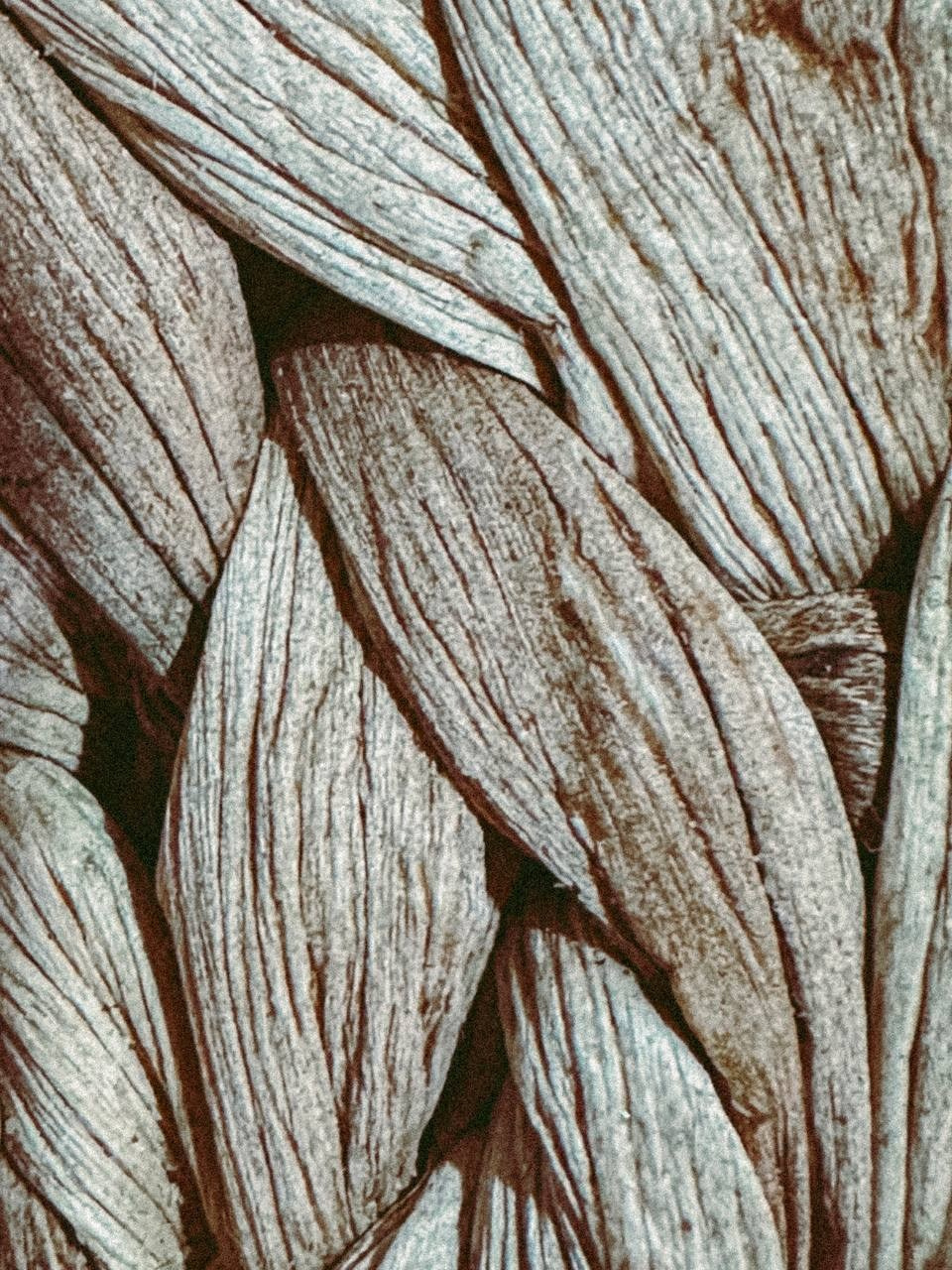 МАРАФОН ФОКУС НА ПРЕКРАСНОМ. Фотограф Анастасия Дмитриева