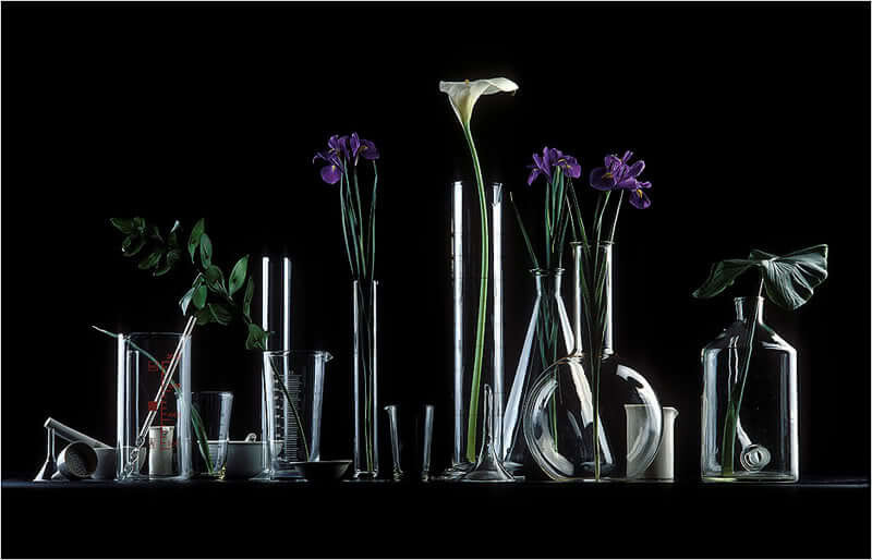 Фотостудия Игоря Сахарова (Санкт-Петербург)