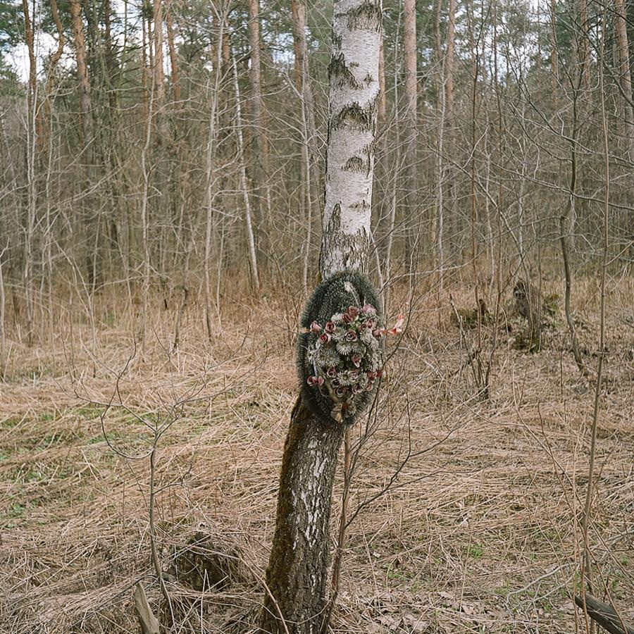 Point B. Alyona Kondyurina visual artist