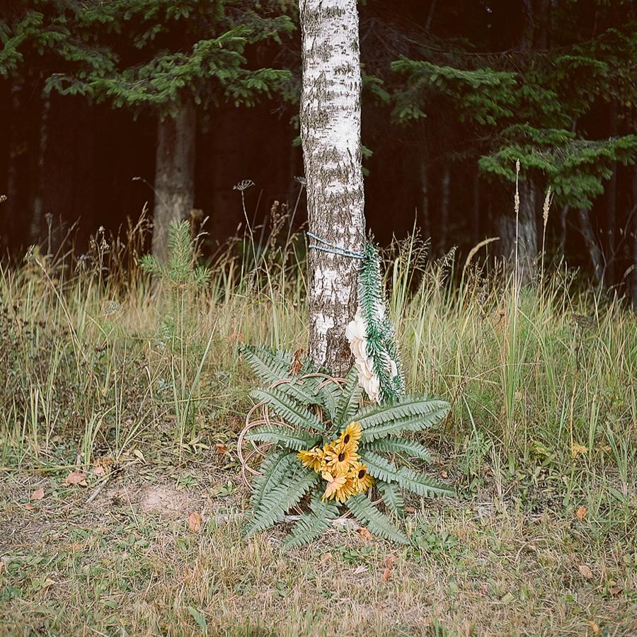 Point B. Alyona Kondyurina visual artist