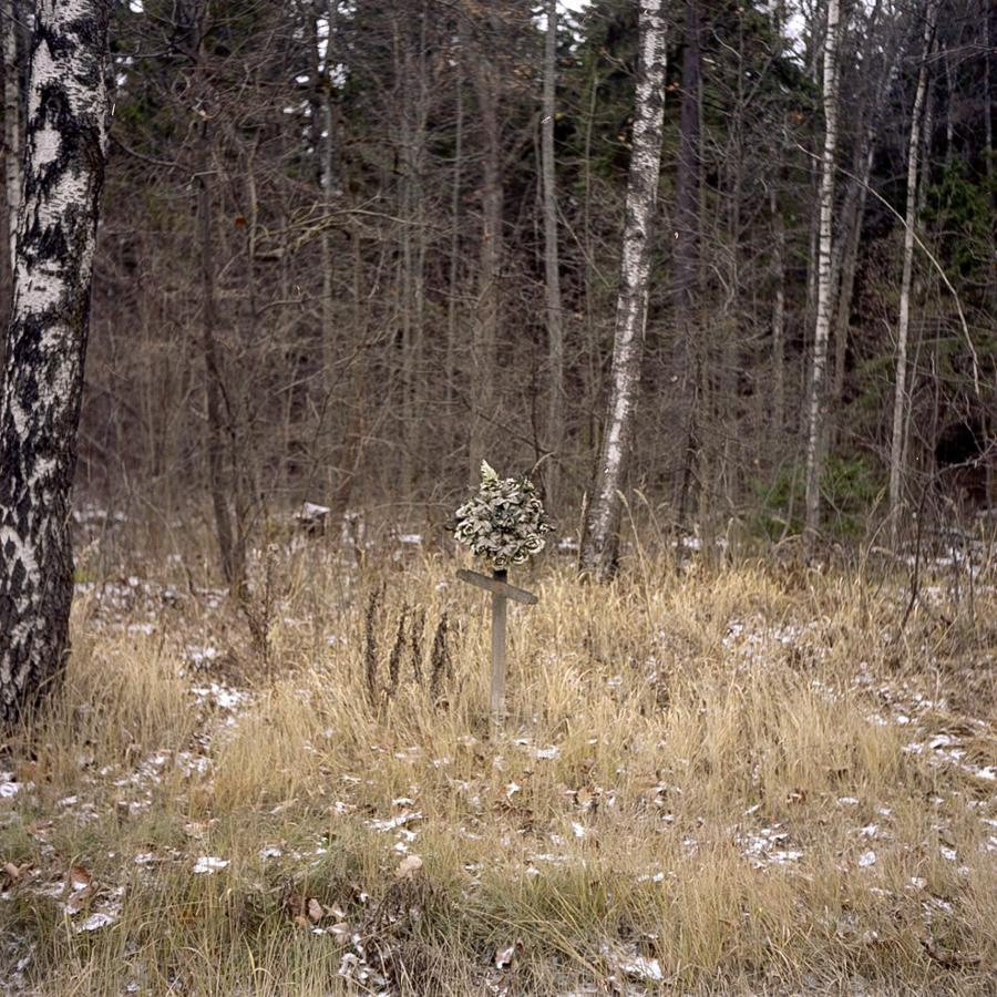 Point B. Alyona Kondyurina visual artist