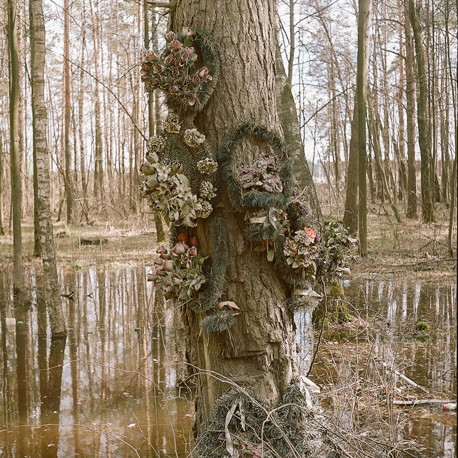 Point B. Alyona Kondyurina visual artist