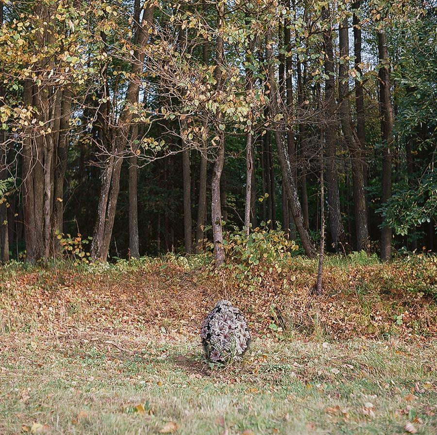 Point B. Alyona Kondyurina visual artist