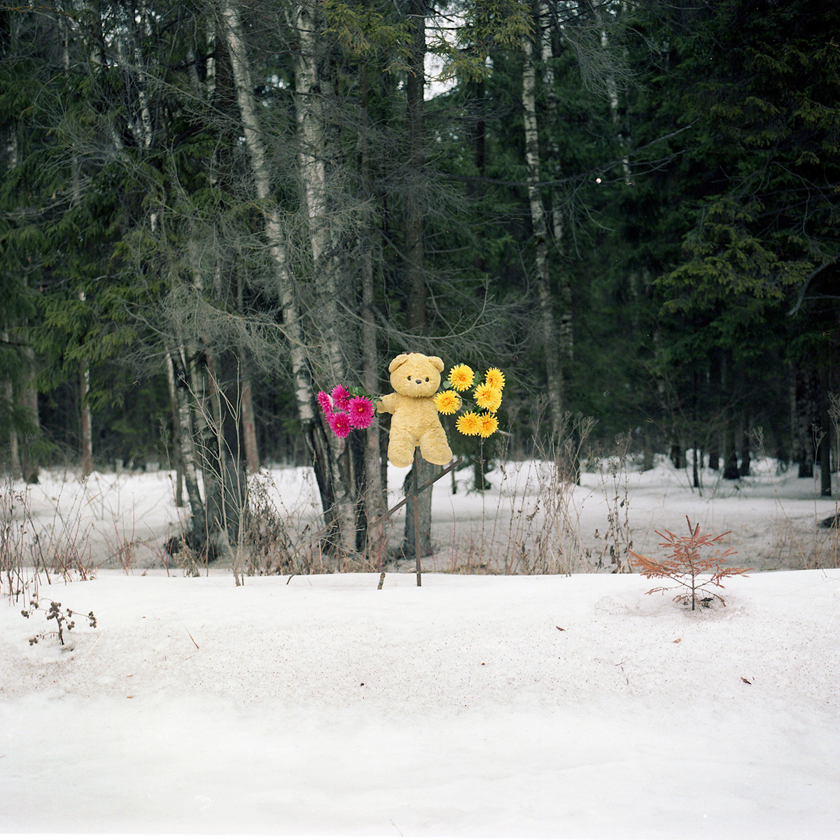 Point B. Alyona Kondyurina visual artist