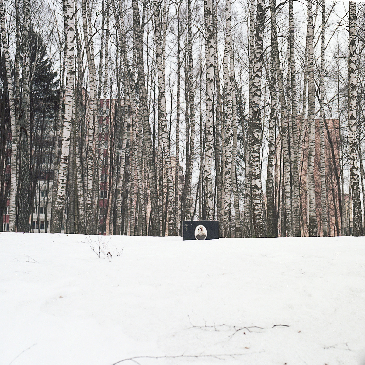 Point B. Alyona Kondyurina visual artist