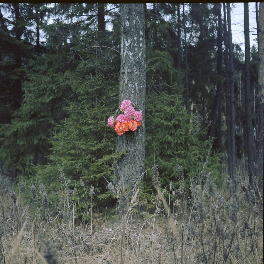 Point B. Alyona Kondyurina visual artist