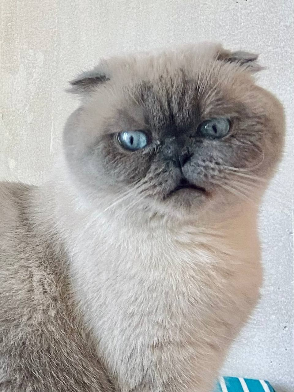 Story of Ksenia. Yulia Otroschenko