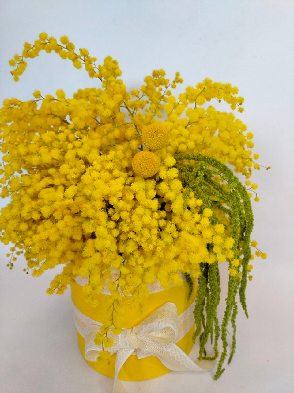 мимоза, весна, цветы к 8 марта для сотрудников