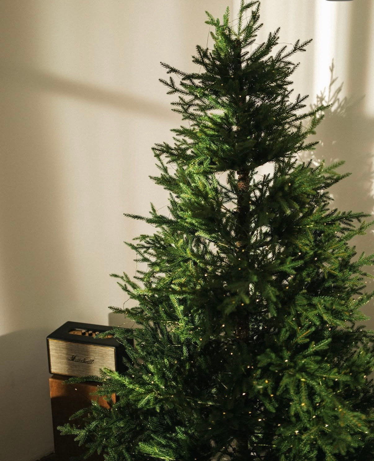 Новогодние фотостудии 2026. Семейный и детский фотограф в Бресте Дария Поляк