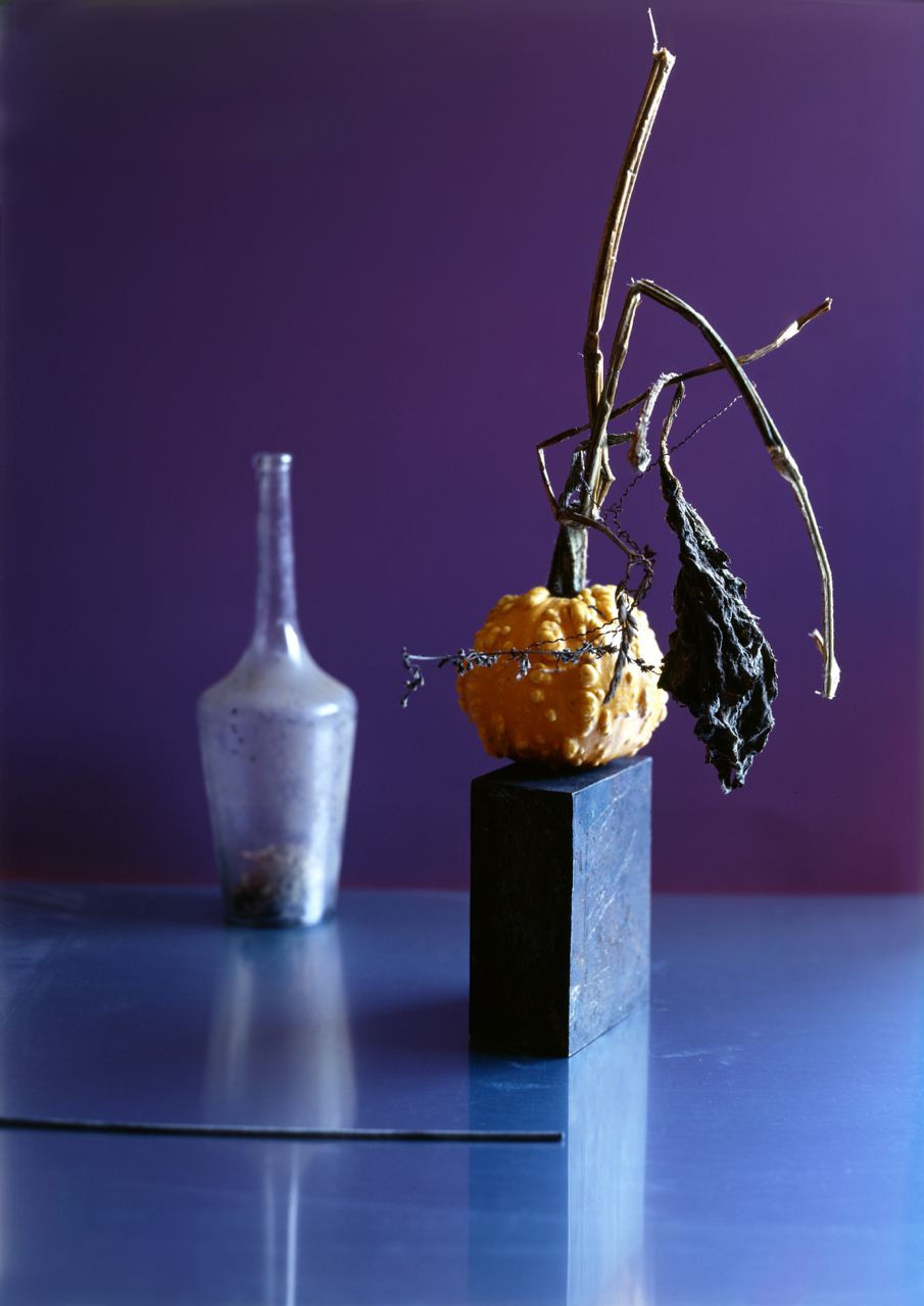 Натюрморт. ВАДИМ ГИППЕНРЕЙТЕР — ВЕЛИКИЙ ФОТОГРАФ ЗЕМЛИ РУССКОЙ