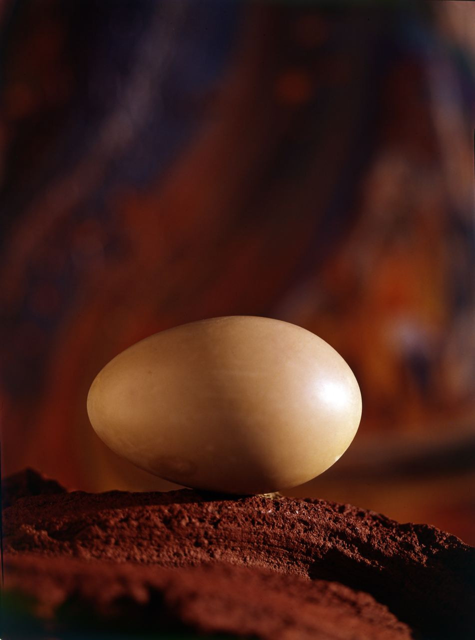 Натюрморт. ВАДИМ ГИППЕНРЕЙТЕР — ВЕЛИКИЙ ФОТОГРАФ ЗЕМЛИ РУССКОЙ