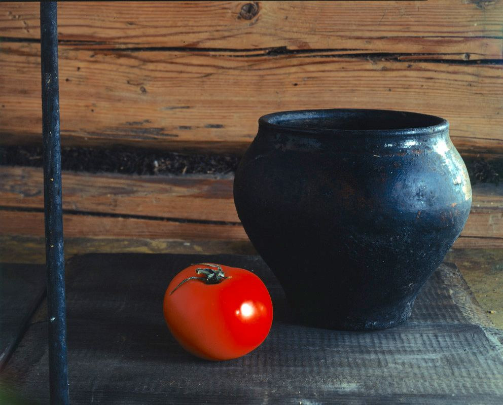 Натюрморт. ВАДИМ ГИППЕНРЕЙТЕР — ВЕЛИКИЙ ФОТОГРАФ ЗЕМЛИ РУССКОЙ