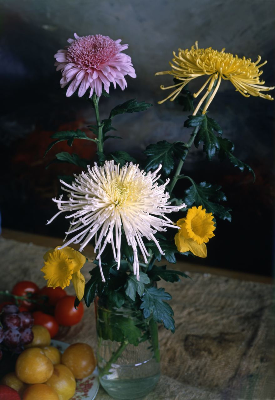 Натюрморт. ВАДИМ ГИППЕНРЕЙТЕР — ВЕЛИКИЙ ФОТОГРАФ ЗЕМЛИ РУССКОЙ