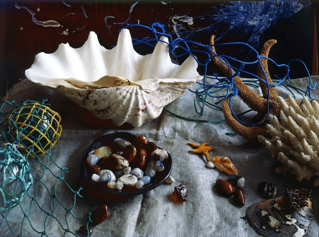 Натюрморт. ВАДИМ ГИППЕНРЕЙТЕР — ВЕЛИКИЙ ФОТОГРАФ ЗЕМЛИ РУССКОЙ