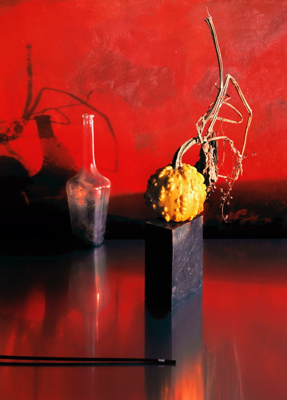 Натюрморт. ВАДИМ ГИППЕНРЕЙТЕР — ВЕЛИКИЙ ФОТОГРАФ ЗЕМЛИ РУССКОЙ